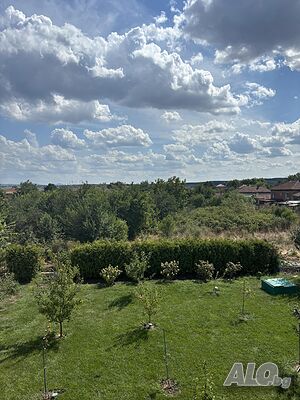 image_37