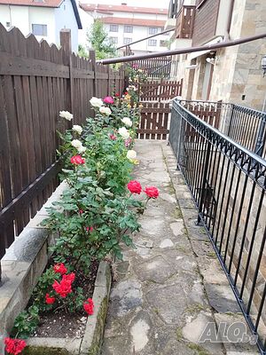 image_31