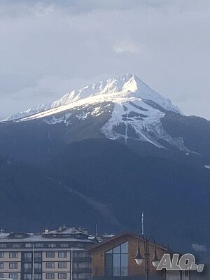 image_15