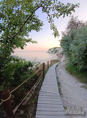 image_9