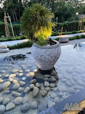 image_10