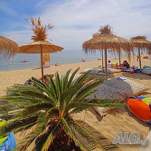 image_11