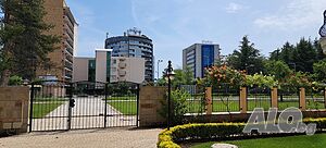 image_19