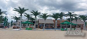 image_40