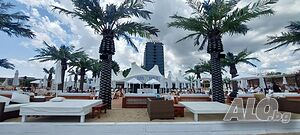 image_43