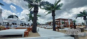 image_45