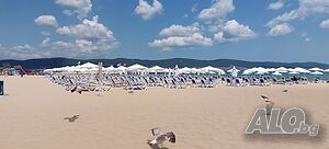 image_47