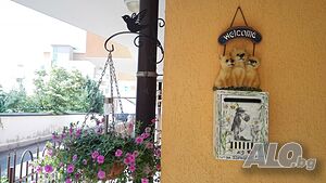image_21