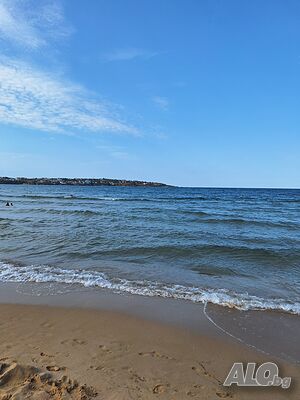 image_19
