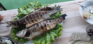 image_27