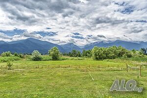 image_19