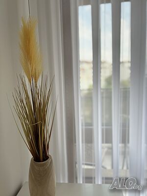image_17