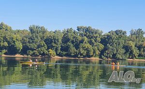 image_41