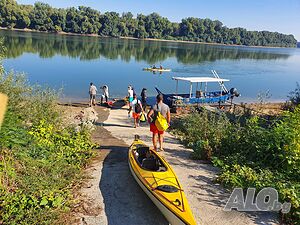 image_42