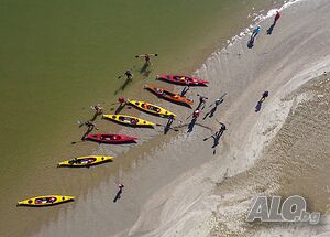 image_44