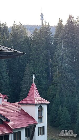 image_17