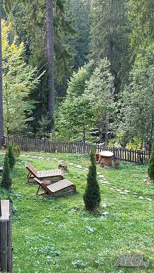 image_18