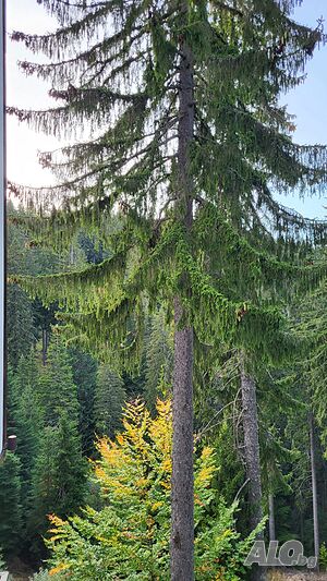 image_20