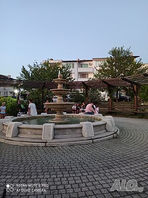 image_7