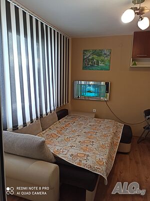 image_33
