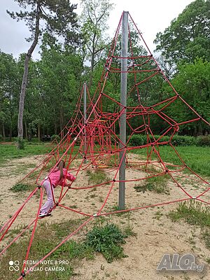 image_55
