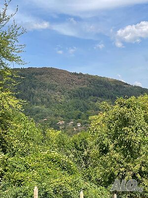 image_13