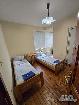 Стая под наем Стаи за гости