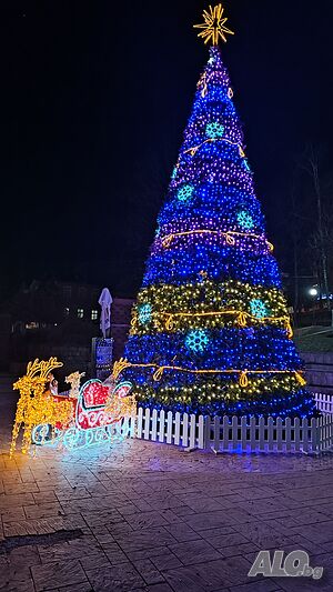 image_25