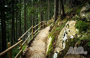image_29