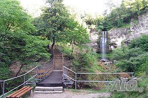 image_31