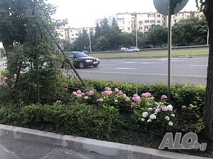 image_14
