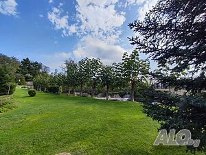 image_5
