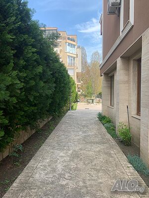 image_6