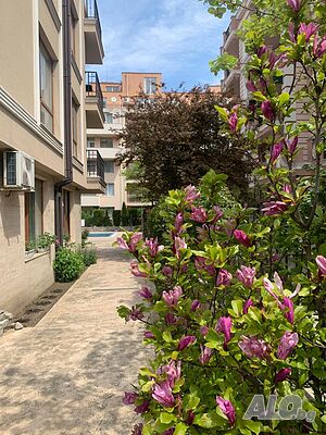 image_10