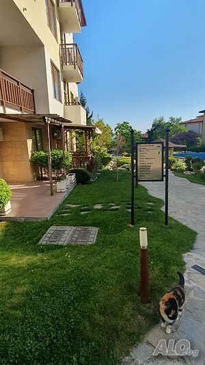 image_14