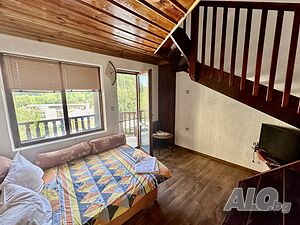 image_37