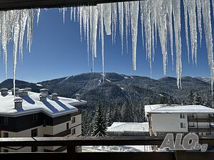image_12