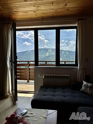 image_5