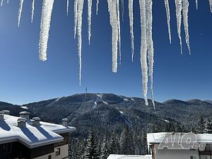 image_18