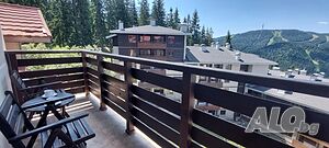image_19