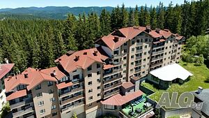 image_21