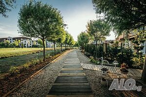 image_22