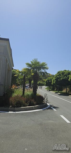 image_25