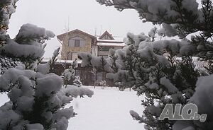 image_11