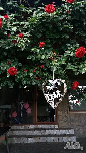 image_13