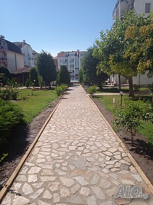 image_9