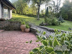 image_17