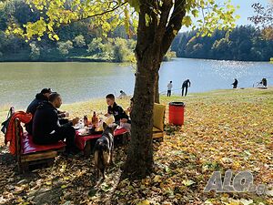 image_27