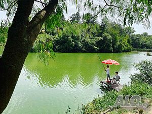 image_31