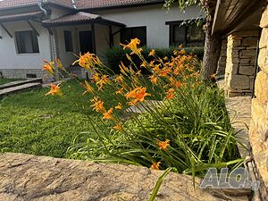 image_37